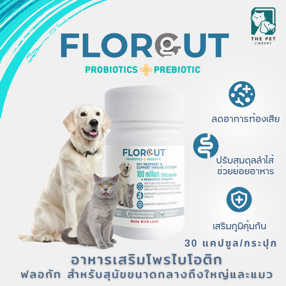 อาหารเสริมสุนัข แมว ฟลอกัท FlorGut M-L โพรไบโอติก พรีไบโอติก สุนัขขนาดกลางถึงใหญ่และแมว 30 แคปซูล