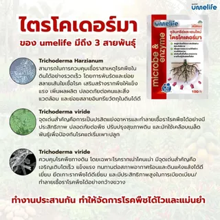 อูเมะไลฟ์ ไตรโคเดอร์มา 100 กรัม จุลินทรีย์ป้องกันรากเน่า เชื้อราในดิน ป้องกันเชื้อโรคในดิน บำรุงราก