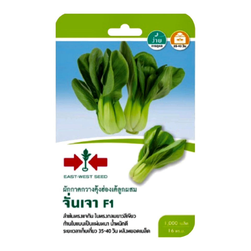 ผักกาดกวางตุ้งฮ่องเต้ลูกผสม F1 จั่นเจา 1,000 เมล็ด ศรแดง