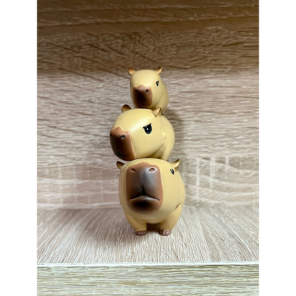 Animal Planet Capybara Series - Animal Planet / Animal Heavenly Body