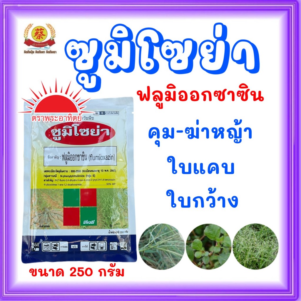 ซูมิโซย่า250กรัมยาคุมในไร่มันสำปะหลังอ้อยหอมแดง