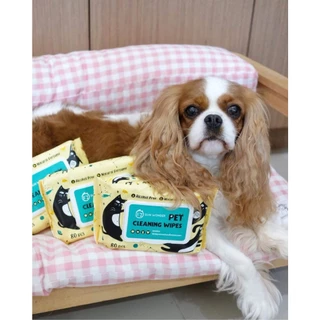 (1 แพค/80 แผ่น) SUN WONDER PET WET CLEANSING WIPES ทิชชู่เปียกสำหรับสัตว์เลี้ยง