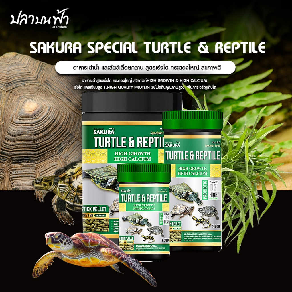 อาหารเต่า Sakura Turtle Reptile เร่งโต กระดองใหญ่ เมื่อโดนน้ำแล้วจะนิ่มเร็ว เต่าเล็กก็ทานง่าย