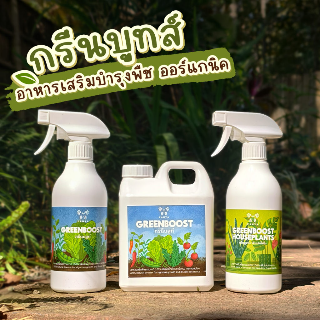 อาหารเสริมบำรุงพืช Green Boost บำรุงไม้ใบ ไม้ฟอกอากาศ ผักสลัด สวนครัว ไม้ดอก ปุ๋ยน้ำ100%ออร์แกนิค [Organic BioStimulant]