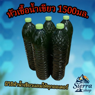 หัวเชื้อน้ำเขียว 1.5ลิตร สำหรับขยายต่อให้ไรแดง เลี้ยงไรแดงน้…