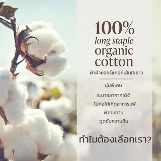 WEICEE ผ้าปูที่นอนสีพื้น ผ้าปูที่นอน(พร้อมปลอกหมอน) ผ้าปูที่นอนกันไรฝุ่น ชุดเครื่องนอน มี3.5ฟุต/5ฟุต/6ฟุต