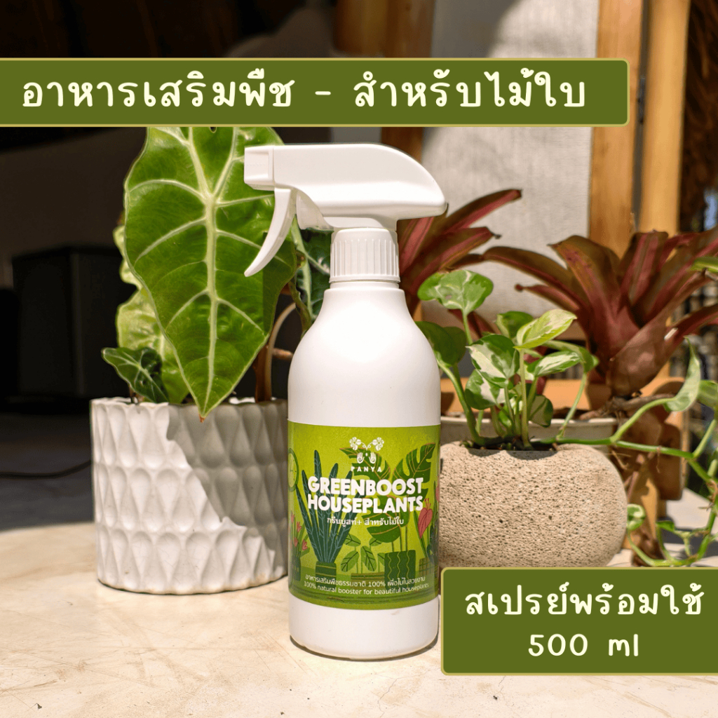 อาหารเสริมบำรุงพืช Green Boost บำรุงไม้ใบ ไม้ฟอกอากาศ ผักสลัด สวนครัว ไม้ดอก ปุ๋ยน้ำ100%ออร์แกนิค [Organic BioStimulant] รูปที่ 7