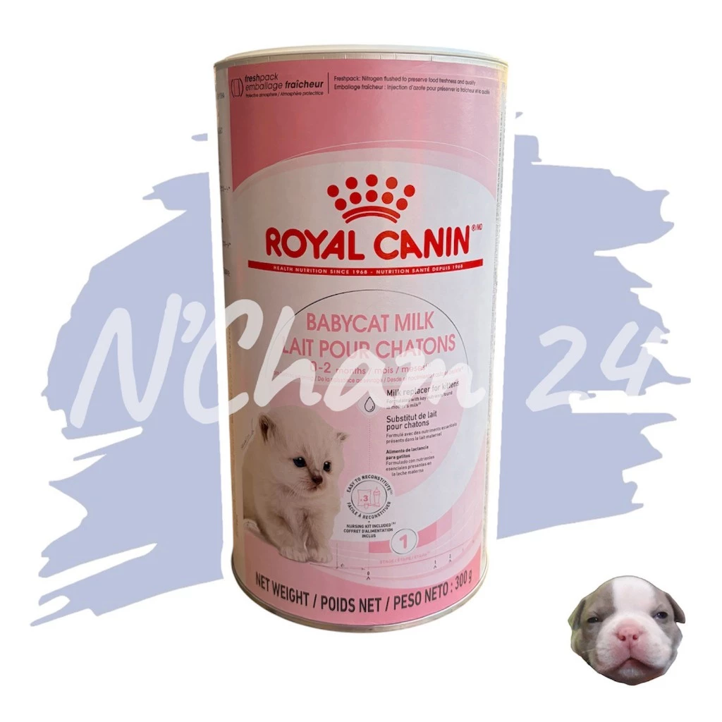 Royal Canin Babycat Milk ขนาด300กรัม นมผงทดแทนนมแม่ สำหรับลูกแมวแรกเกิด-หย่านม