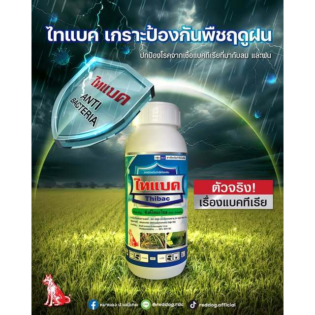 ไทแบค มีชื่อสามัญคือ ซิงค์ไทอะโซล 20% W/V SC สารป้องกัน โรคขอบใบแห้ง,โรคใบขีดโปร่งแสง,และโรคใบแถบแดง
