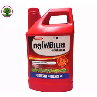 กลูโฟซิเนตแอมโมเนียม ตราม้าทองเศรษฐี แกลลอนแดง น้ำสีเขียว ขนาด 4 ลิตร ใช้ปราบวัชพืชใบแคบ ใบกว้าง