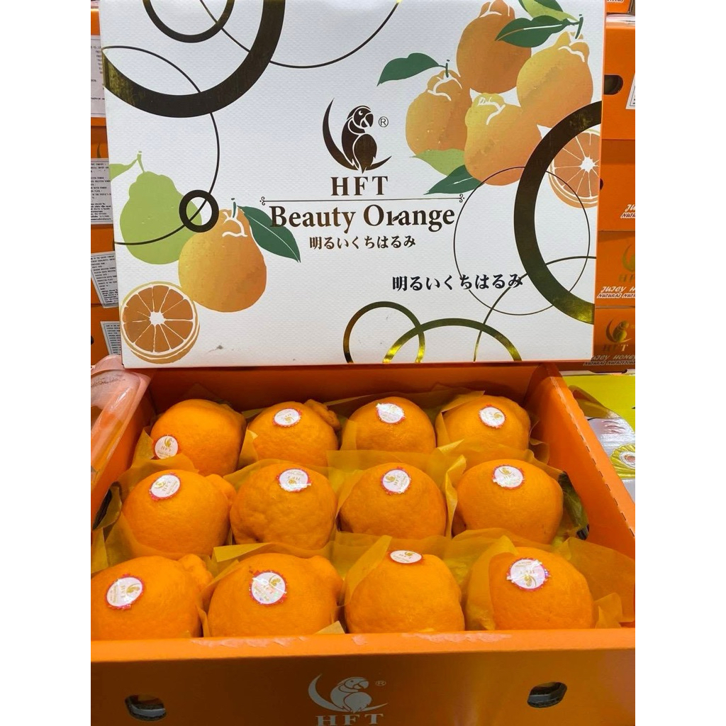 ส่งด่วน 4 ชม. ส้มจุกนกแก้ว กล่องของขวัญ🍊 เกรดพรีเมี่ยม หวานอร่อย เหมาะสำหรับเป็นของขวัญปีใหม่ ลังละ 8,10,12 ลูก