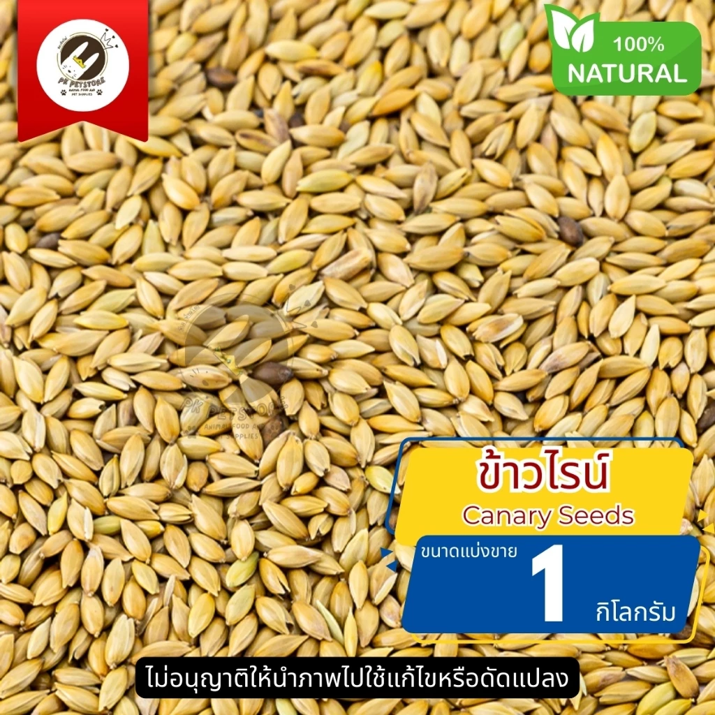 ธัญพืช Seed ข้าวไรน์ Canary Seeds ธัญพืช สำหรับ นกทุกสายพันธุ์ หนูแฮมเตอร์ กระรอก และสัตว์ฟันเทะ (แบ่งขาย)