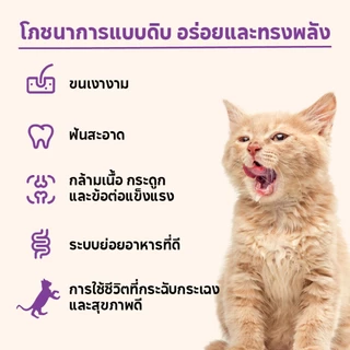 เคลลี่แอนด์โค บุชเชอร์คัต ขนมฟรีซดรายชิ้นฟิลเลย์ สำหรับแมว 55 กรัม