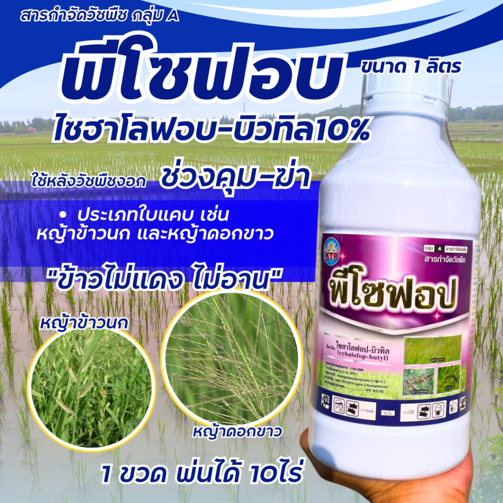 ฟีโซฟอป ไซฮาโลฟอป-บิวทิล 10%EC  ใช้หลังหว่านข้าว 10 วัน ปราบหญ้าใบแคบ เช่น หญ้าข้าวนก หญ้าดอกขาว หญ้าแดง
