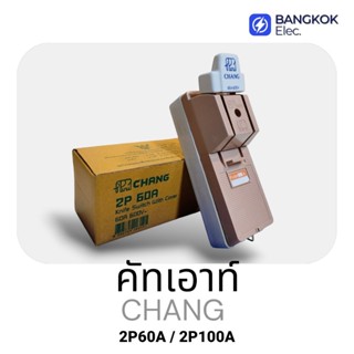 CHANG ช้าง คัทเอาท์ 2P30A /60A / 100A