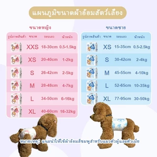 ผ้าอ้อมสัตว์เลี้ยง สุนัข แมว ผ้าอ้อมสำเร็จรูป 12 ชิ้น ทุกขนาด