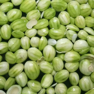 สวธนภัทร นมะม่วงเบาแช่อิ่มหอม..หวาน..กรอบ..อร่อย ขนาด 500 กรัม