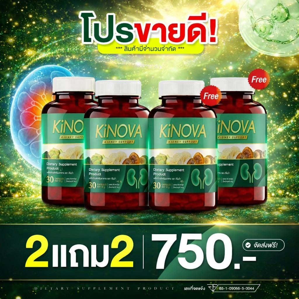 โปร 2แถม2  Kinova คิโนว่า อาหารเสริมคิโนว่า วิตามินบำรุงไต Kinova คิโนว่า อาหารเสริมสุขภาพ 30 caps