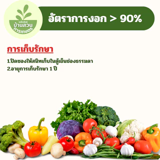 เมล็ดพันธุ์ถั่วลันเตา จำนวน 10 เมล็ด