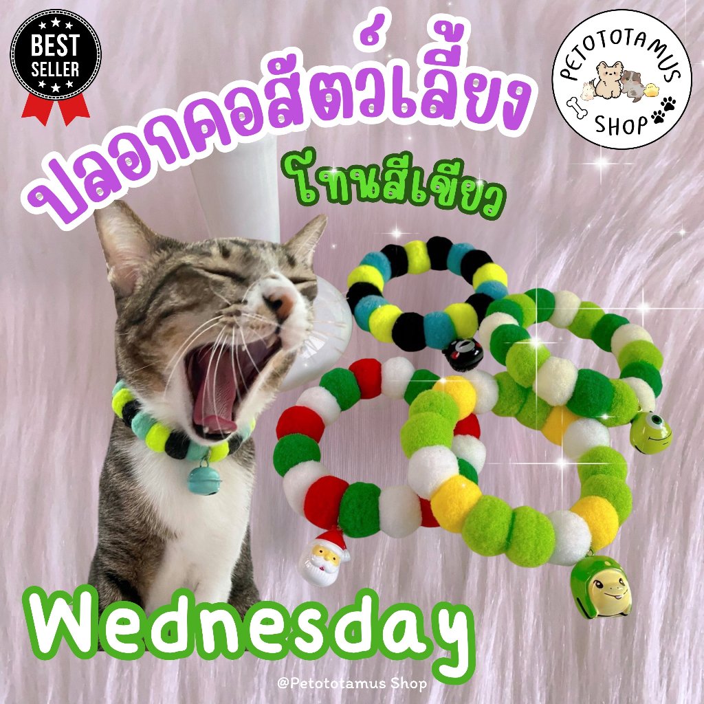 Petototamus | Wednesday #1: ปลอกคอแมว (โทนสีเขียว) ปลอกคอสัตว์เลี้ยง ปลอกคอสุนัข ปอกคอแมว Green tone