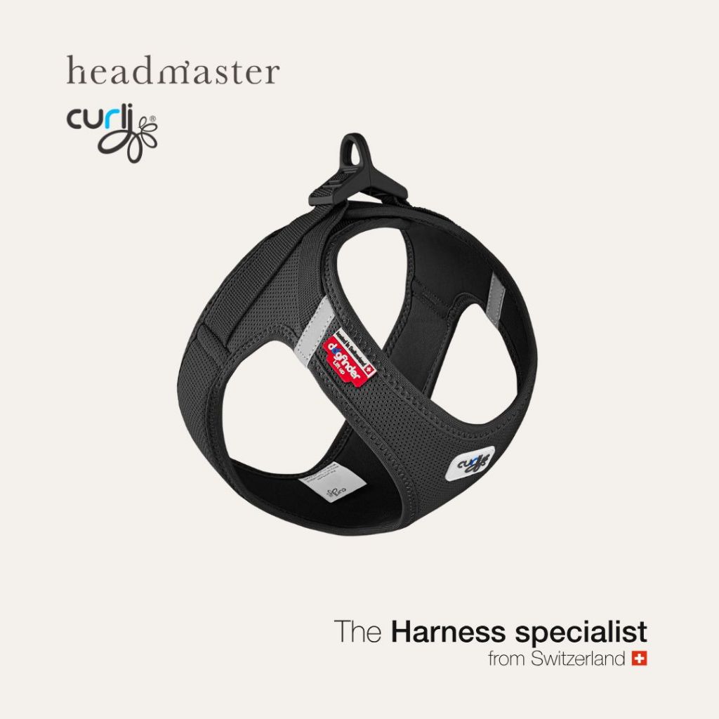 curli Clasp Air Mesh Vest Harness Black สายรัดอกสีดำ สำหรับสุนัขและแมว