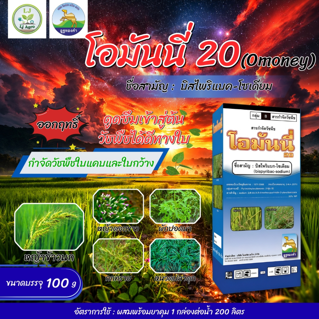 โอมันนี่ บิสไพริแบคโซเดียม 20% ขนาด 100 กรัม (ตราโอเอซิส) สารกำจัดวัชพืช #แอลเจอะโกร