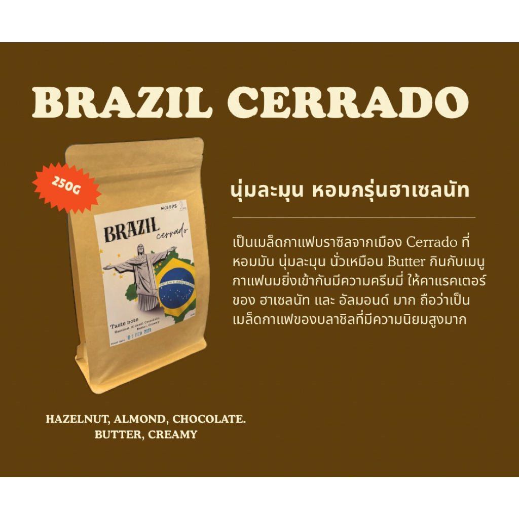 เมล็ดกาแฟคั่ว "Brazil cerrado" คั่วอ่อนค่อนกลาง 250g (Fongcoffeeroaster)