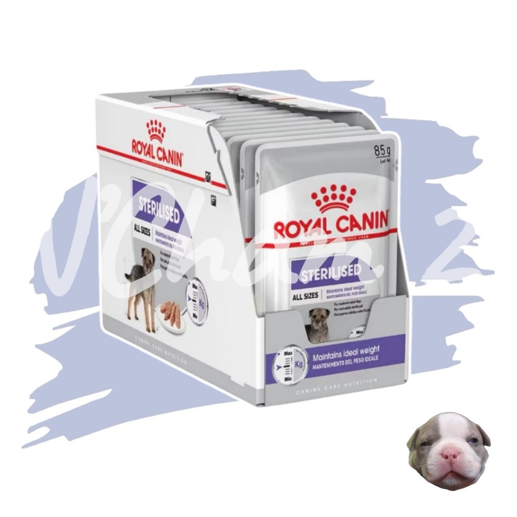 Royal Canin Sterilised Care Pouch Loaf อาหารเปียกสุนัขโต ทุกขนาด หลังทำหมัน