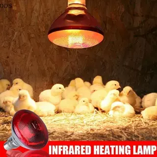 【HS】จัดส่งฟรี! ไฟกกสัตว์ ขั้ว E27 100W/275W ร้อนเร็ว กระจายความร้อนดี หลอดไฟอินฟาเรด กันระเบิด กกไก่/สุนัข ปลอดภัย คุณภา