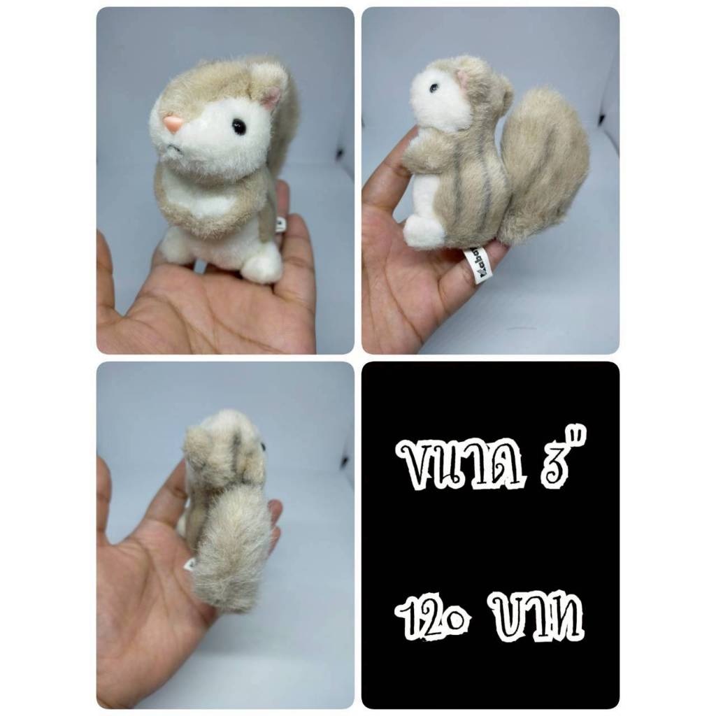 Squirrel#สเควอเริล#กระรอก#Kabaya Cute Squirrel#ตุ๊กตาญี่ปุ่นมือสอง