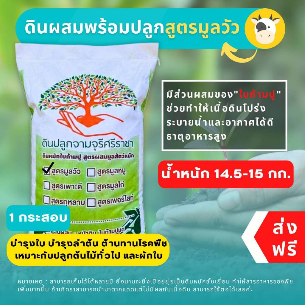 (ส่งฟรี)ดินผสมใบก้ามปูสูตรขี้วัวบด 1 กระสอบ (14.5-15 kg.) ดินพร้อมปลูก จัดส่ง 5-7 วัน