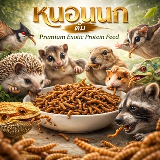 หนอนนก EXOTIC PROTEIN WORM สเตอริไลซ์ ฆ่าเชื้อ แบบต้ม เก็บได้1ปี ไม่ต้องแช่เย็น เหมาะสำหรับ ชูการ์ แม่นแคะ สัตว์ฟันแทะ