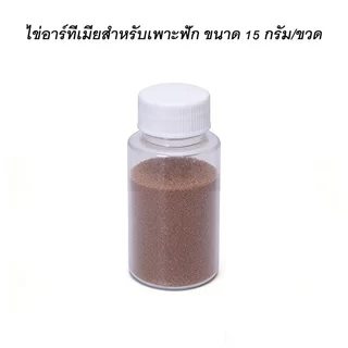 coralcoveshop ไข่อาร์ทีเมีย สำหรับเพาะฟัก อาหารลูกปลา ชุดเป่าไข่อาร์ทีเมีย ฟักไข่อาร์ทีเมีย