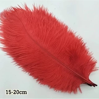 ขนนกกระจอกเทศธรรมชาติย้อมสี ความสูง 15-20cm แบ่งขายแพ็คละ 10 เส้น