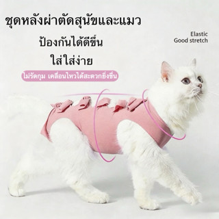 ชุดแมวทำหมันเสื้อหลังผ่าตัด เสื้อหลังผ่าตัดแมว ชุดหลังผ่าตัด…