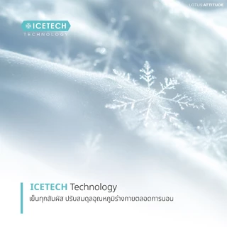 LOTUS ATTITUDE ชุดผ้าปู รุ่น NORDEN ELEMENTS 2026 นวัตกรรม ICETECH Technology ทุกสัมผัสเย็นยิ่งขึ้น ส่งฟรี