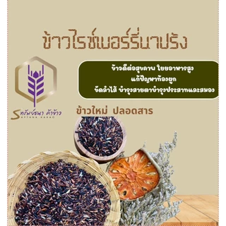 ข้าวไรซ์เบอรี่นาปรัง กระสอบ 5 กิโลกรัม ข้าวอ่อน ข้าวนิ่ม ข้าวใหม่ ข้าวเพื่อสุขภาพ