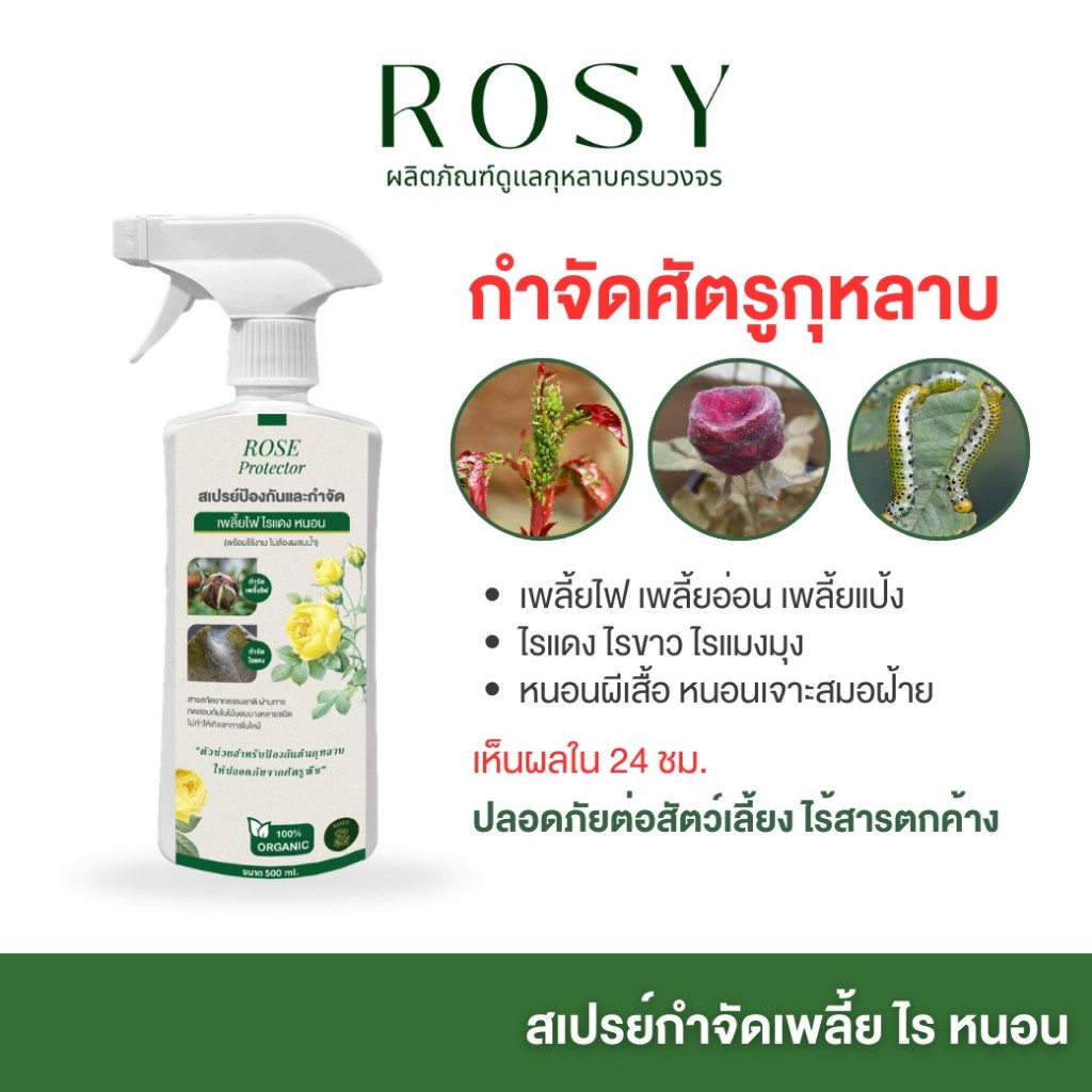 Rosy ป้องกันและกำจัดเพลี้ยไฟ ไรแดง หนอน  [ฉลากเขียว 500 ML ] สำหรับกุหลาบ ไม่กลับมาระบาดซ้ำ ไม่ทำให้ใบไหม้ ไม่ดื้อยา