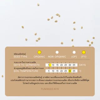 เมล็ดนำเข้า มะเขือเทศเชอรี่ รสเยี่ยม ลายริ้ว Honey Bee (Organic F1) Cherry Tomato พันธุ์ลูกผสม ปันอินทรีย์