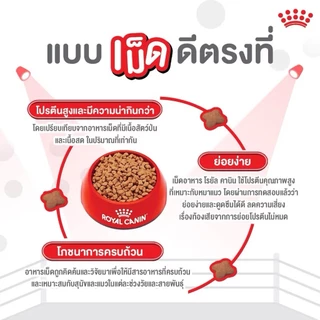 [ 1 กิโลกรัม ] Royal canin อาหารเม็ดแมว เกรดพรีเมี่ยม ถุงซีล ตักแบ่งจากกระสอบ
