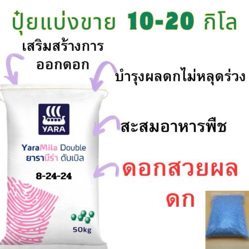 ปุ๋ยแบ่งขาย 8-24-24 ยาร่า10-20กิโลบำรุงดอกผล