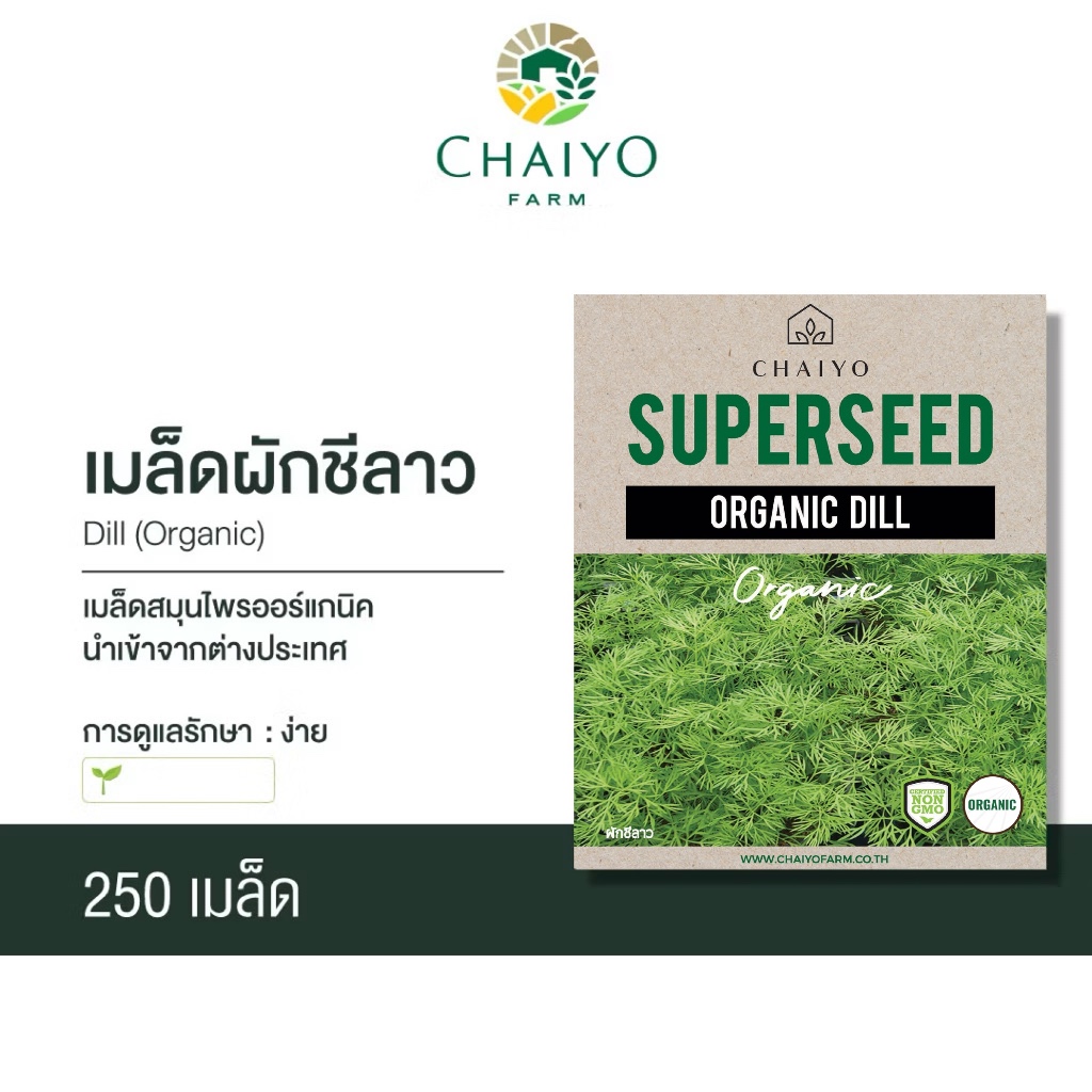 เมล็ด DILL (Organic) ผักชีลาว