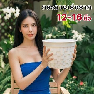 [เซ็ด5ใบ] กระถางแอร์พอต 12-16 นิ้ว กระถางเร่งราก AIR POT กระถางแอร์พอต กระถางแอร์พอท กระถางแอร์พ็อต
