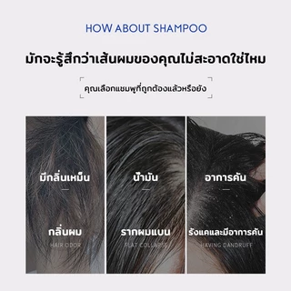 [ขายดี] แชมพูรังแค แชมพูคัน แชมพู & ครีมนวด 500ml แชมพูแก้คันหนังศรีษะ ขจัดรังแค หยุดอาการคัน [Anti Dandruff Shampoo]
