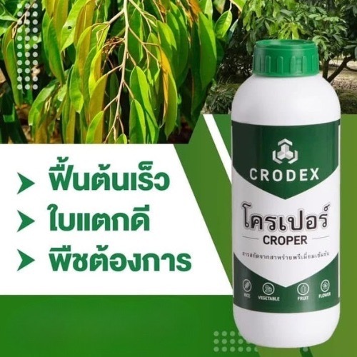 โครเปอร์ ฮอร์โมนสาหร่ายเขียว ขนาด 1 ลิตร สำหรับพืชช่วยการติดดอก ออกผล แตกยอด เพิ่มราก ฉีดได้ในพืชทุกชนิด