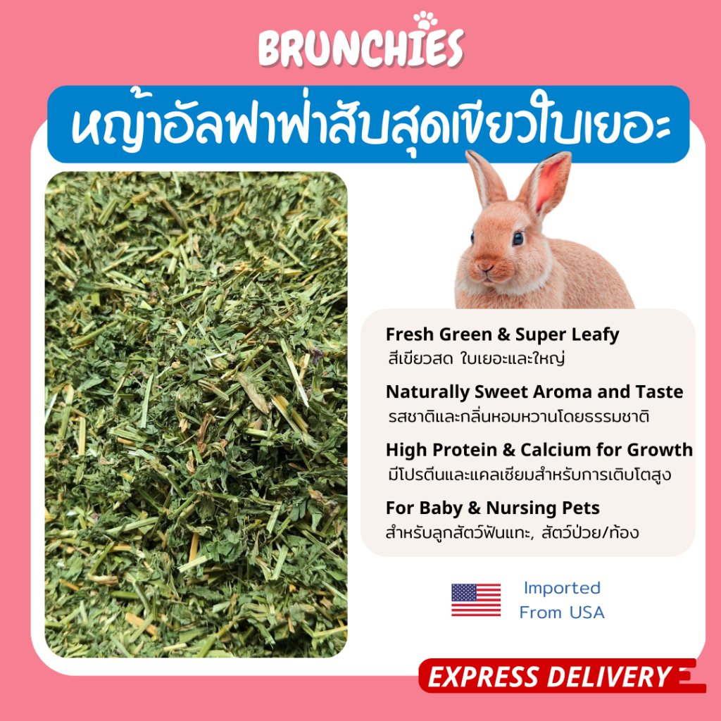 Brunchies หญ้าอัลฟาฟ่าอย่างดีร่อนฝุ่น (1kg) พรีเมียม สับ/ก้านสั้น สำหรับกระต่าย แกสบี้ ชินชิลล่า รูปที่ 6