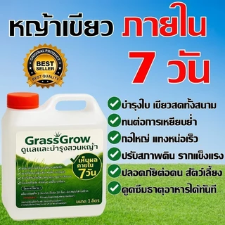 ปุ๋ยน้ำบำรุงหญ้า ให้เขียวสด แก้หญ้าเหลือง ใช้ได้กับหญ้าทุกสายพันธ์ ปลอดภัย บำรุงหญ้าไทเป ปุ๋ยบำรุงหญ้าสนาม
