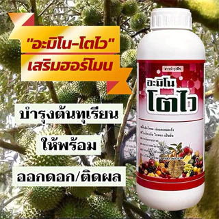 อะมิโนแอซิดสูตรเข้มข้น+ฮอร์โมน อะมิโนพืช ขนาด 500 ซีซี /1 ลิตร เร่งโต ฟื้นต้นโทรม แตกยอดไว ใบเขียว บำรุงราก ทุเรียน ข้าว