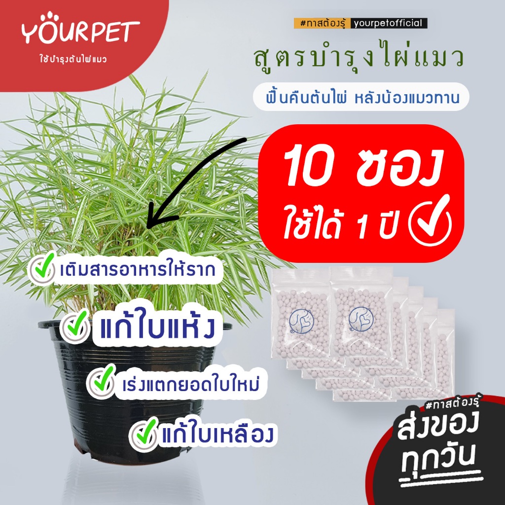 บำรุง ไผ่แมว ( 1แพ็ค 10 ซอง ใช้ได้ 1 ปี) (ละลายเร็วไม่ตกค้าง)