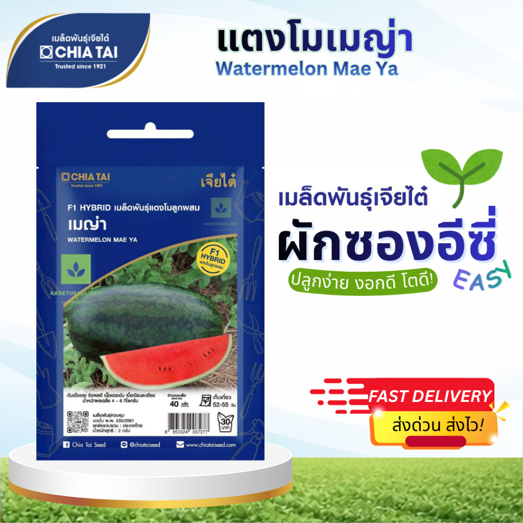 Easy เมล็ดพันธุ์ แตงโมเมญ่า 40เมล็ด เจียไต๋ Watermelon Mae Ya